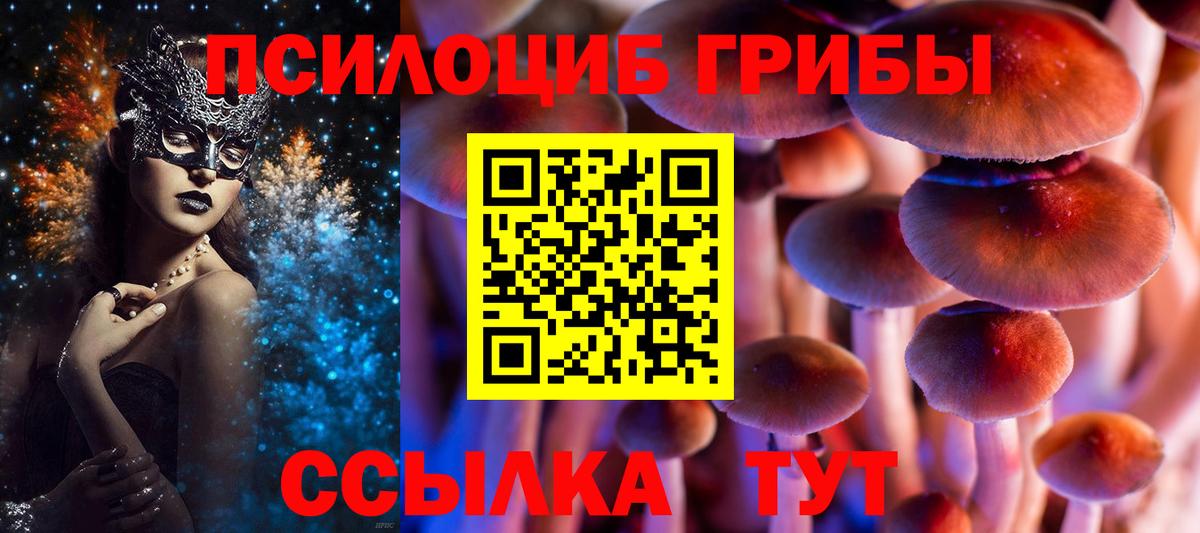 Галлюциногенные грибы Psilocybe  Вход с VPN  Ейск 